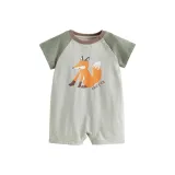 Серый, зеленый, цвет ростока