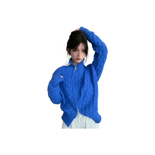 VENICEW Кляйн-синий Свитер (Включая наклейку бренда VN) Женские Трикотаж