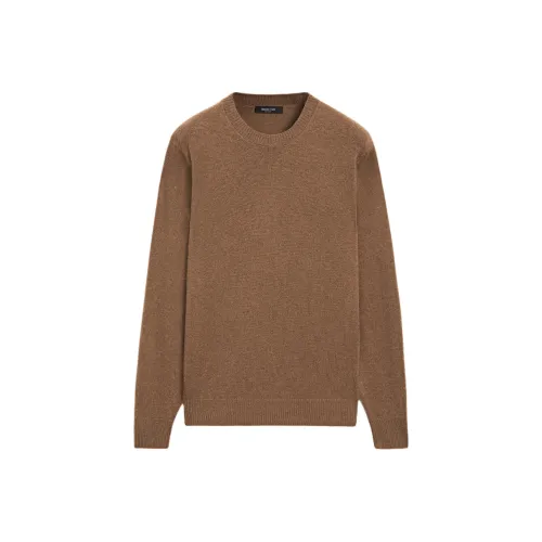 Massimo Dutti Коричневый Мужской Трикотаж