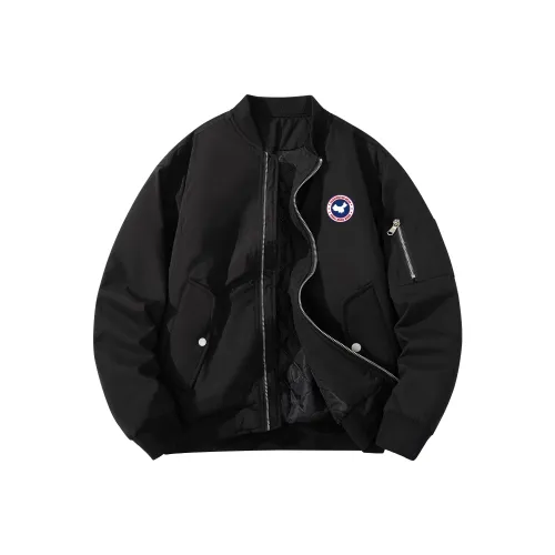 Paddington Bears Пуховая куртка Унисекс