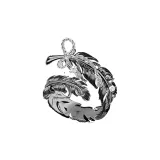 Чёрное кольцо