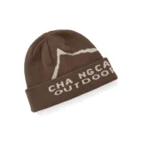 Верблюжий цвет