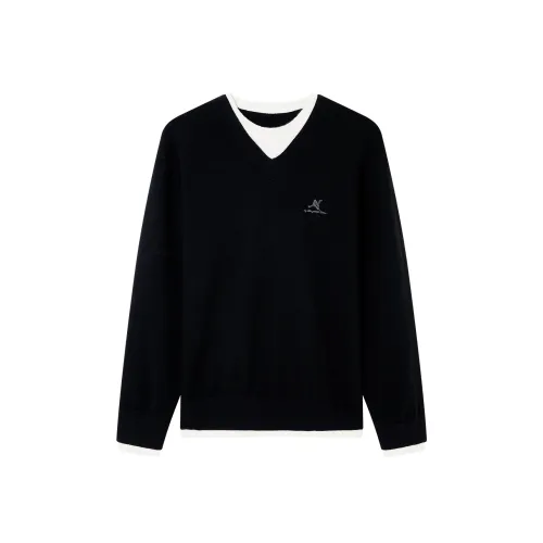 NPC Мужские Свитера