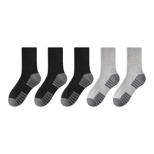 PLANDOO Мужские носки MID до икры