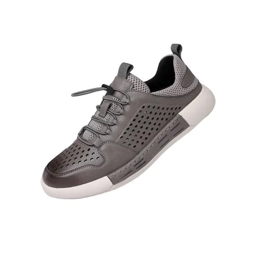 AOLUN Низкий топ Повседневная обувь Мужская