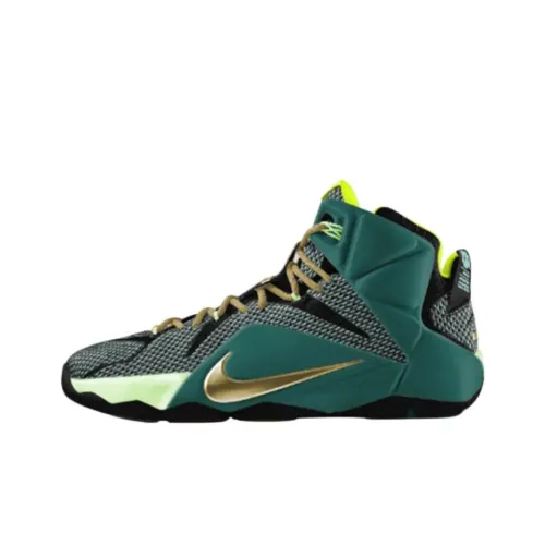 Nike Lebron 12 Винтажные баскетбольные кроссовки Мужской Зеленый