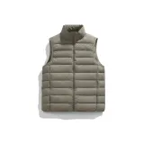 Чайно-коричневый