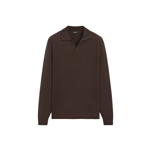 Massimo Dutti Коричневый Мужской Трикотаж
