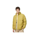 Горчично-желтый