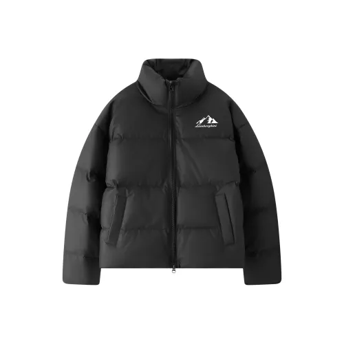 AUTOMOBILI LAMBORGHINI Пуховик Унисекс