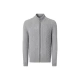 Светло-серебристо-серый