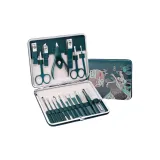 Китайский стиль Guzheng 19 предметов комплект