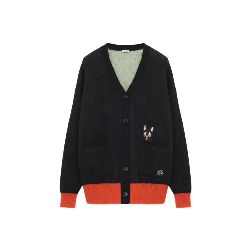 LOEWE Совместное издание x Louis Wain SS26 Свитер Мужской