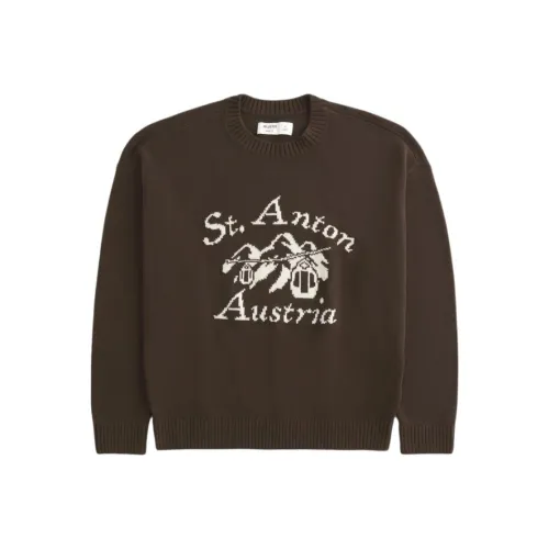 Hollister Коричневые Мужские Свитера