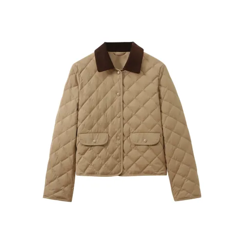 Le Alfashionline Пуховик Женские