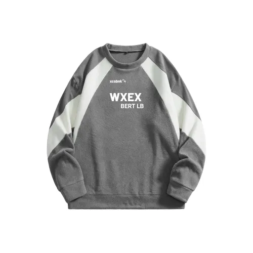 WXEX Фотиния Серый Унисекс Свитшоты