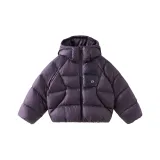 Темно-фиолетовый [3A Антибактериальный Кашемир]