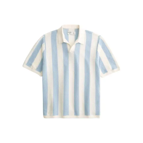 Hollister Синий Белый Мужская Рубашка Поло