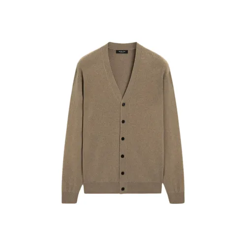 Massimo Dutti Серый Коричневый Мужской Трикотаж