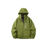 Кедр Зеленый