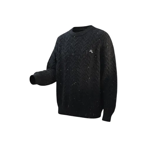 POLOMEISDO Унисекс Свитера