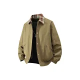 Земляной желтый