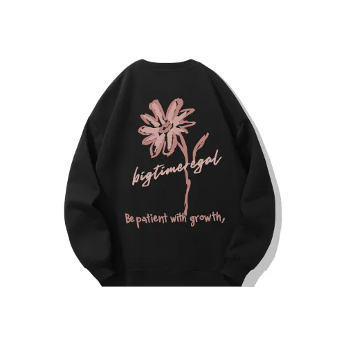 BIG TIME REGAL Свитшот Унисекс