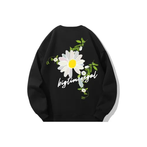 BIG TIME REGAL Свитшот Унисекс