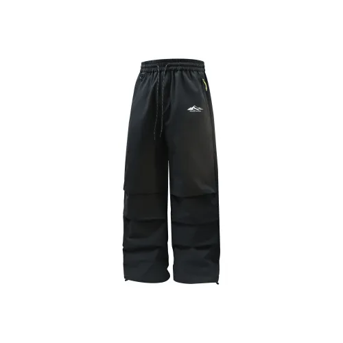 SNOW FLYING Extreme Cold Пуховые штаны Унисекс