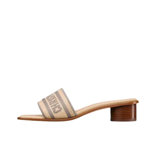 DIOR Dway Rubber Slide Тапочки Женские Бежевые