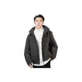 Метеоритный серый