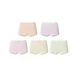 5 пачек - Абрикос + Светло-фиолетовый + Светло-розовый + Светло-желтый + Светло-зеленый