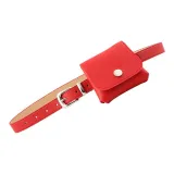 Красный с серебряной застежкой + сумка