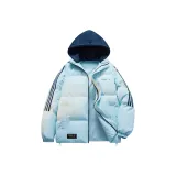 Лунный свет синий