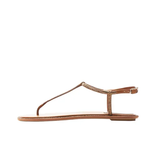 RENE CAOVILLA Diana One Ремень Сандалии Женские Коричневый