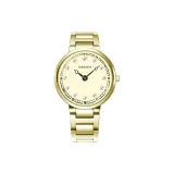 Золотой корпус, золотой циферблат, золотой стальной браслет