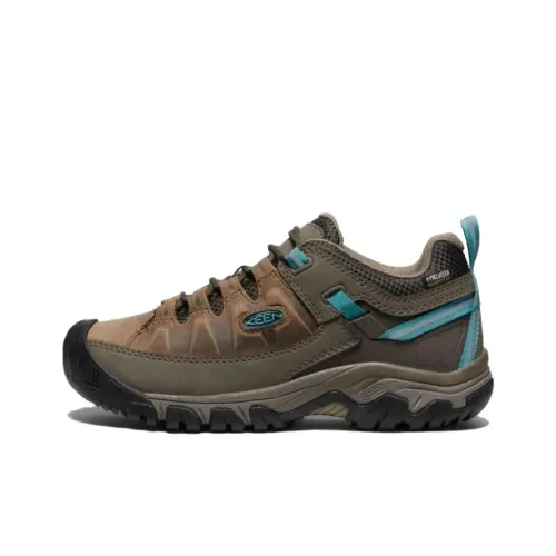KEEN Targhee III WP Амортизаторы Shock Slip-resistant Низкий топ Уличная обувь Женская Коричневый Синий