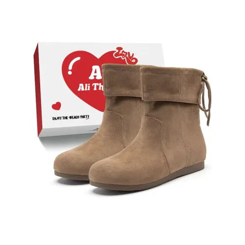 Али Тх Фокс Круглый носок Минималистский стиль Кружево Вверх С флисовой подкладкой Термические ботильоны Женские