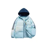 Лунный свет синий