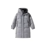 Ледниково-серый