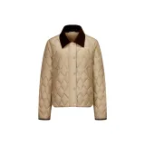 Золотой, песочный, хаки