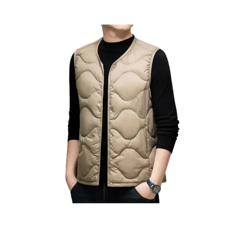 27DESHENGHUO Мужской пуховый жилет