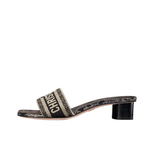 DIOR Dway Шлепанцы Женские Черные