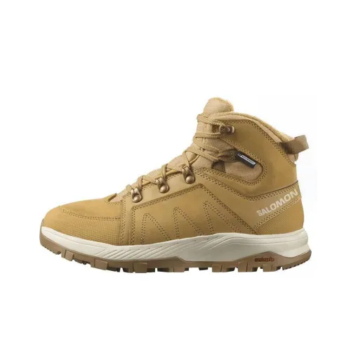 SALOMON Амортизация Легкий MID Топ Уличная обувь Женские Коричневый