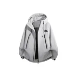 Дракон серого цвета