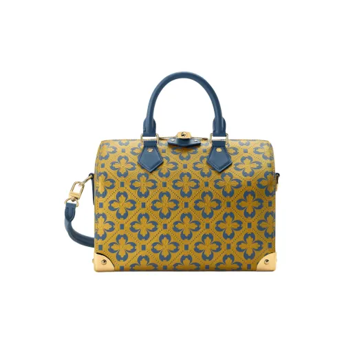 LOUIS VUITTON SpeedyTrunk Коровья кожа Сумка 25 Женская Желтая и Темно-зеленая