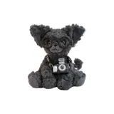 Камера модель