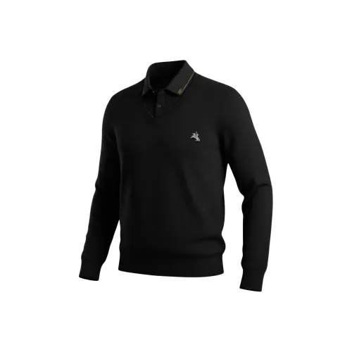 POLOMEISDO Унисекс Свитера