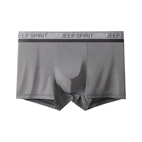 JEEP SPIRIT Мужские боксер-шорты