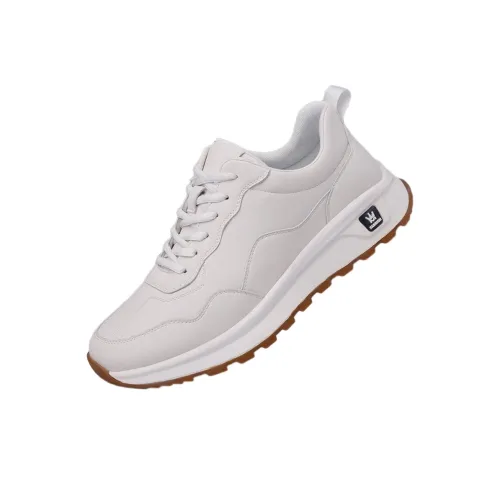 AOLUN Низкий топ Повседневная обувь Мужская